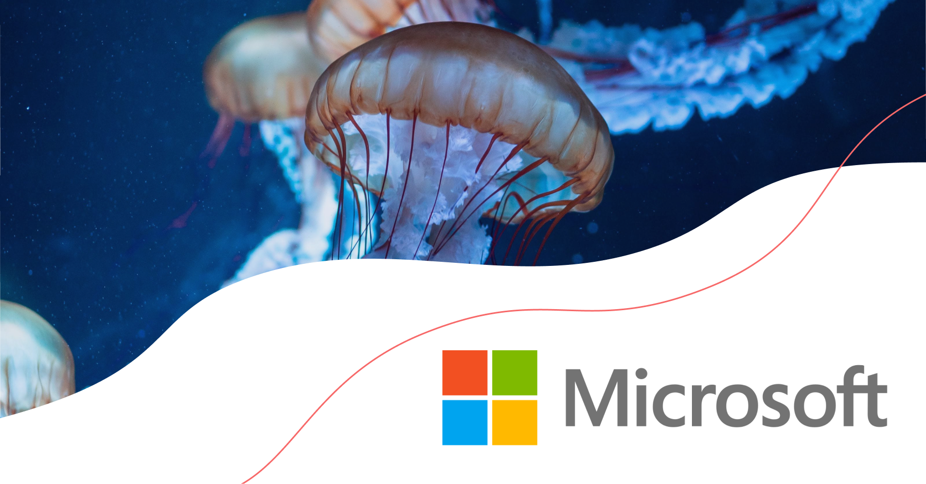 Doe de Microsoft 365 Healthcheck